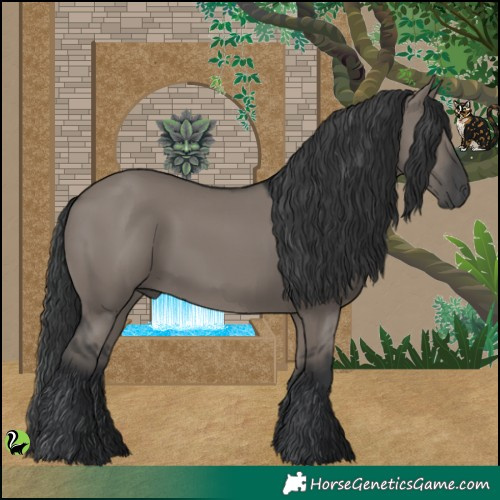 Horse Color:Grullo 