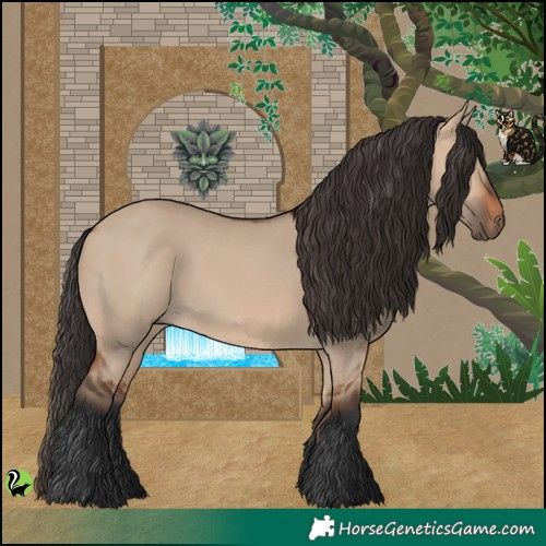 Horse Color:Bay Dun 