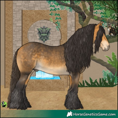 Horse Color:Buckskin 