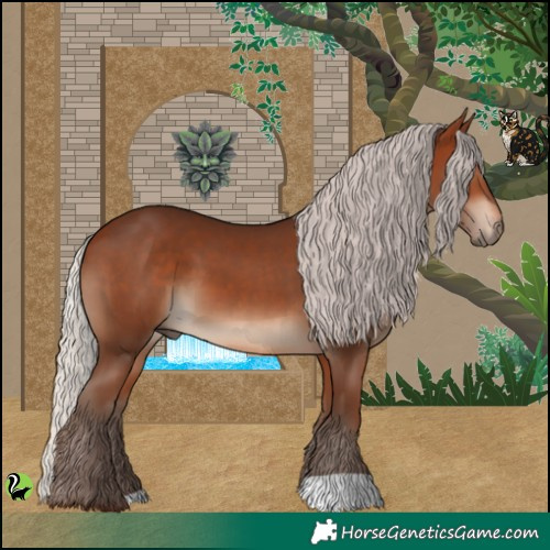 Horse Color:Silver Bay 