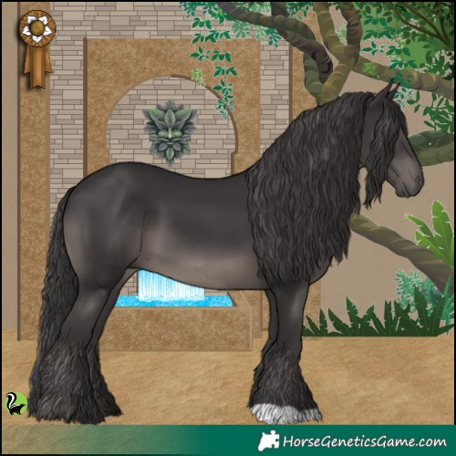 Horse Color:Smoky Black 