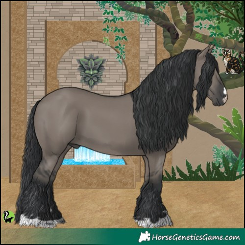 Horse Color:Grullo 