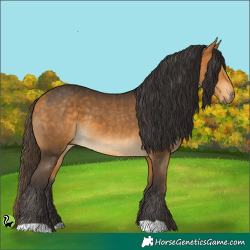 Horse Color:Buckskin 