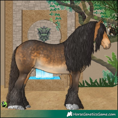 Horse Color:Buckskin 