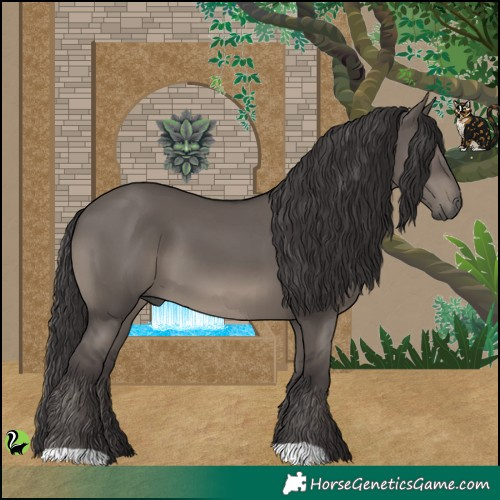 Horse Color:Smoky Grullo 
