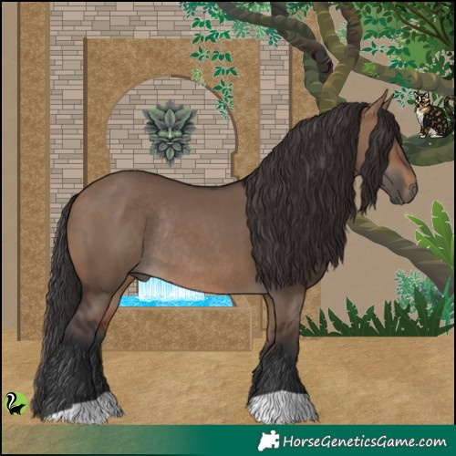Horse Color:Brown Dun Rabicano 