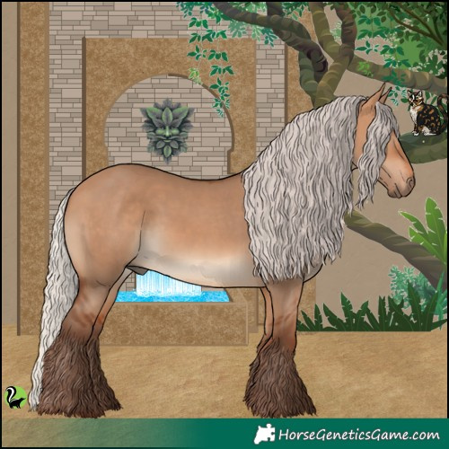 Horse Color:Silver Bay Dun 
