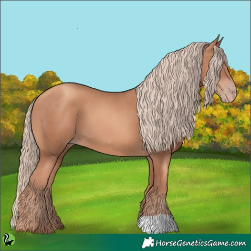 Horse Color:Gold Champagne 