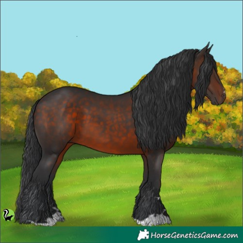Horse Color:Brown 
