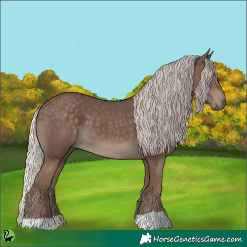 Horse Color:Silver Black 