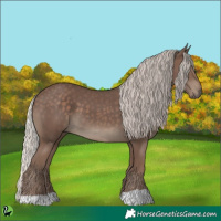 Horse Color:Silver Black 