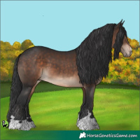 Horse Color:Brown 