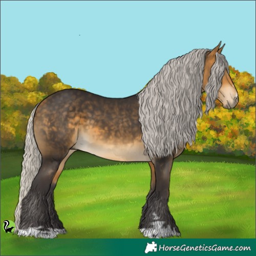 Horse Color:Silver Buckskin 