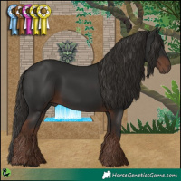 Horse Color:Liver Chestnut 