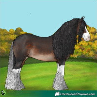 Horse Color:Brown Splash