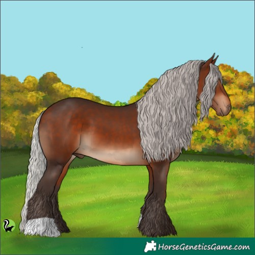 Horse Color:Silver Brown 