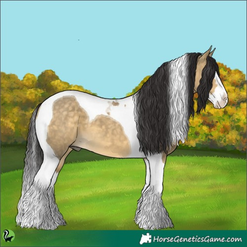 Horse Color:Buckskin Dun Splash Tobiano 