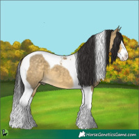 Horse Color:Buckskin Dun Splash Tobiano