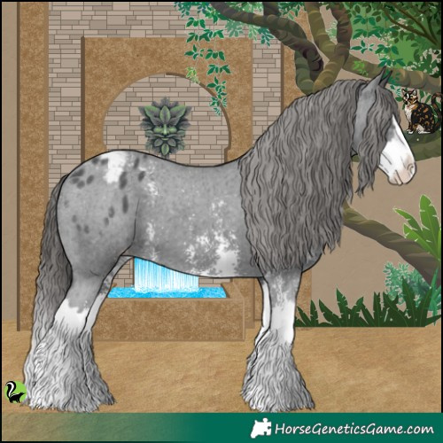Horse Color:Black Sabino Splash Appaloosa 