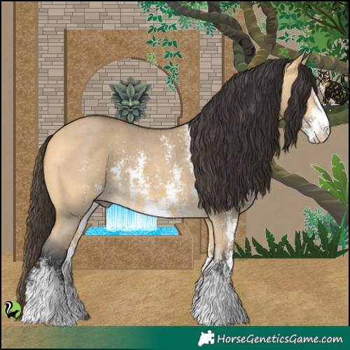 Horse Color:Buckskin Dun Sabino 