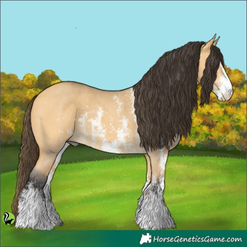 Horse Color:Buckskin Dun Sabino 