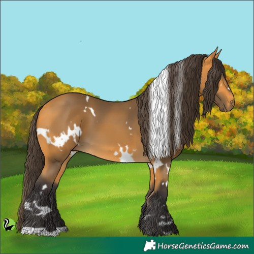 Horse Color:White Spotted Buckskin