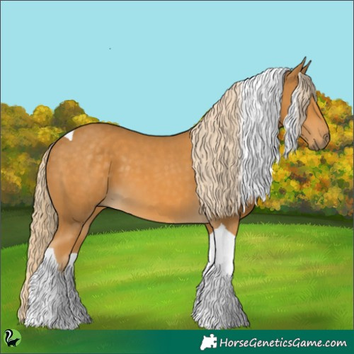 Horse Color:Palomino Tobiano 