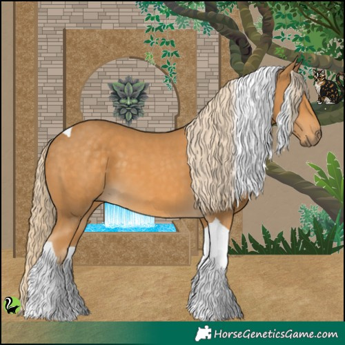 Horse Color:Palomino Tobiano 