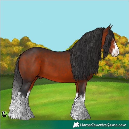 Horse Color:White Spotted Brown Splash 