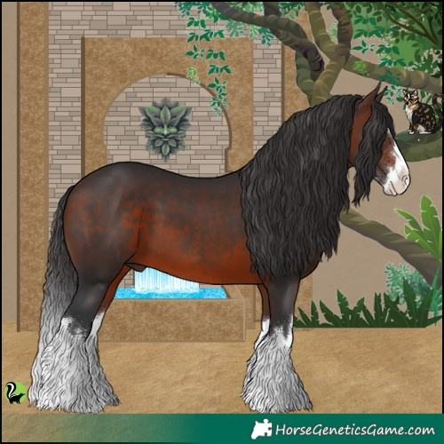Horse Color:White Spotted Brown Splash 