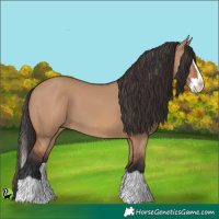 Horse Color:Bay Dun Splash 