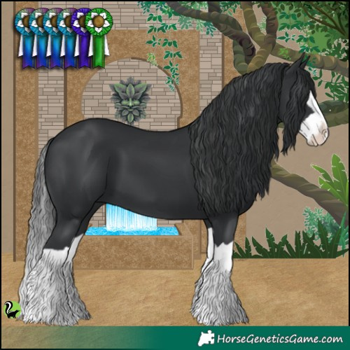Horse Color:Black Splash 