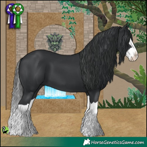 Horse Color:Black Splash 