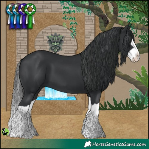Horse Color:Black Splash 