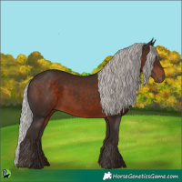 Horse Color:Silver Brown 