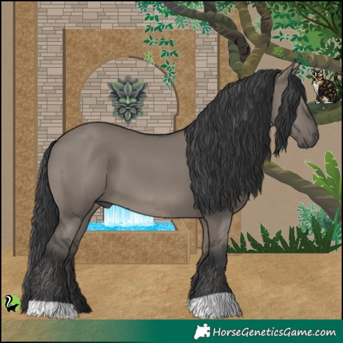 Horse Color:Grullo 
