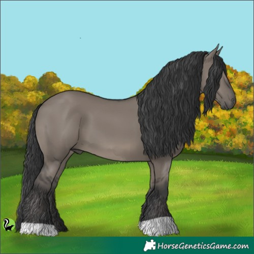 Horse Color:Grullo 