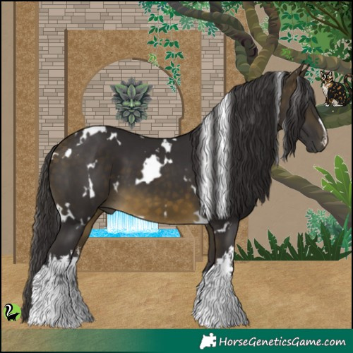 Horse Color:White Spotted Buckskin 