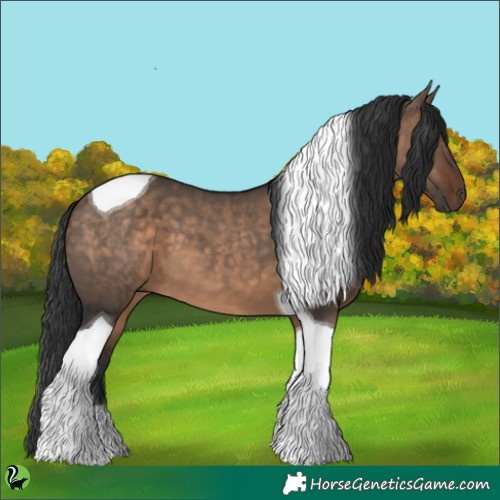 Horse Color:Brown Dun Tobiano 