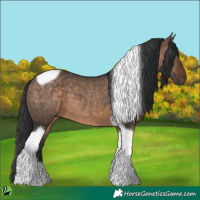 Horse Color:Brown Dun Tobiano 