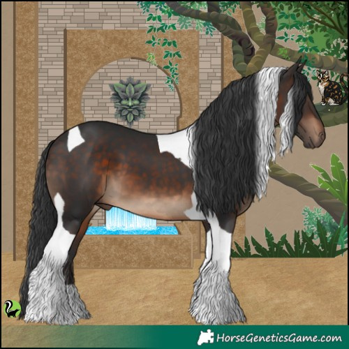 Horse Color:Brown Tobiano 