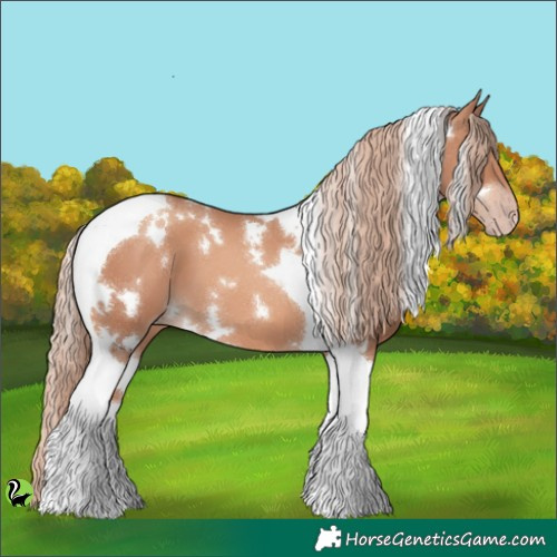 Horse Color:White Spotted Gold Champagne Tobiano 