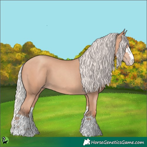 Horse Color:Silver Classic Champagne