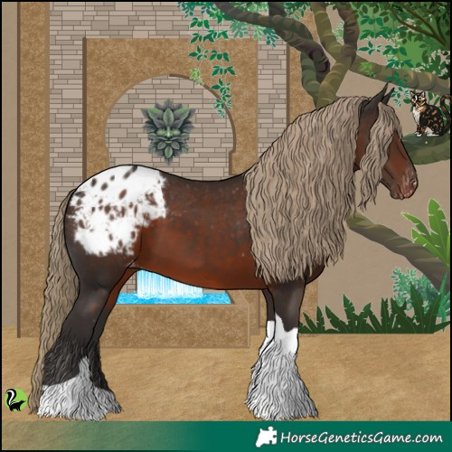 Horse Color:Liver Chestnut Tobiano Appaloosa 