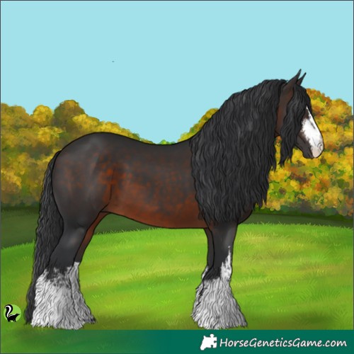 Horse Color:White Spotted Brown 
