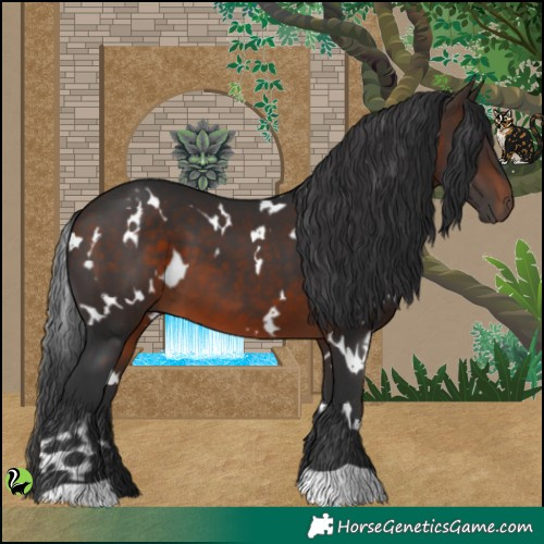 Horse Color:White Spotted Brown 