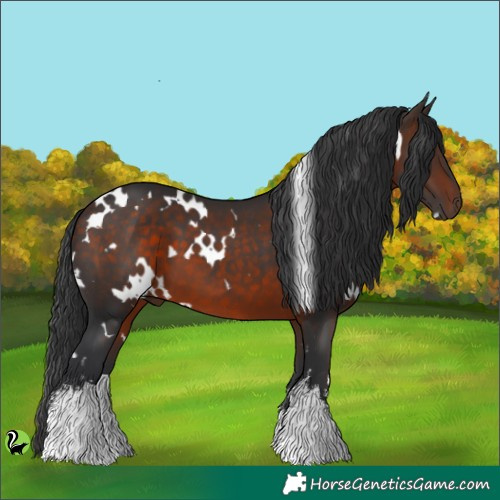 Horse Color:White Spotted Brown 