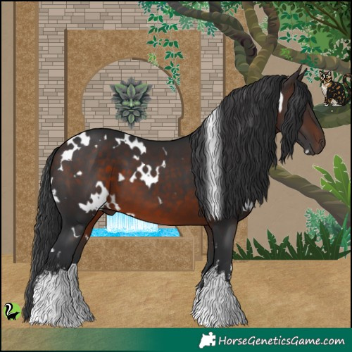 Horse Color:White Spotted Brown 
