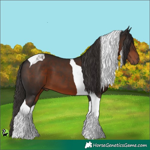 Horse Color:Liver Chestnut Tobiano 