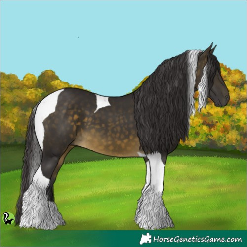 Horse Color:Buckskin Tobiano 